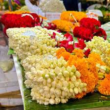 images_original_copy_2_copy_1_copy_1_copy_1