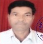 Org Officer Photo